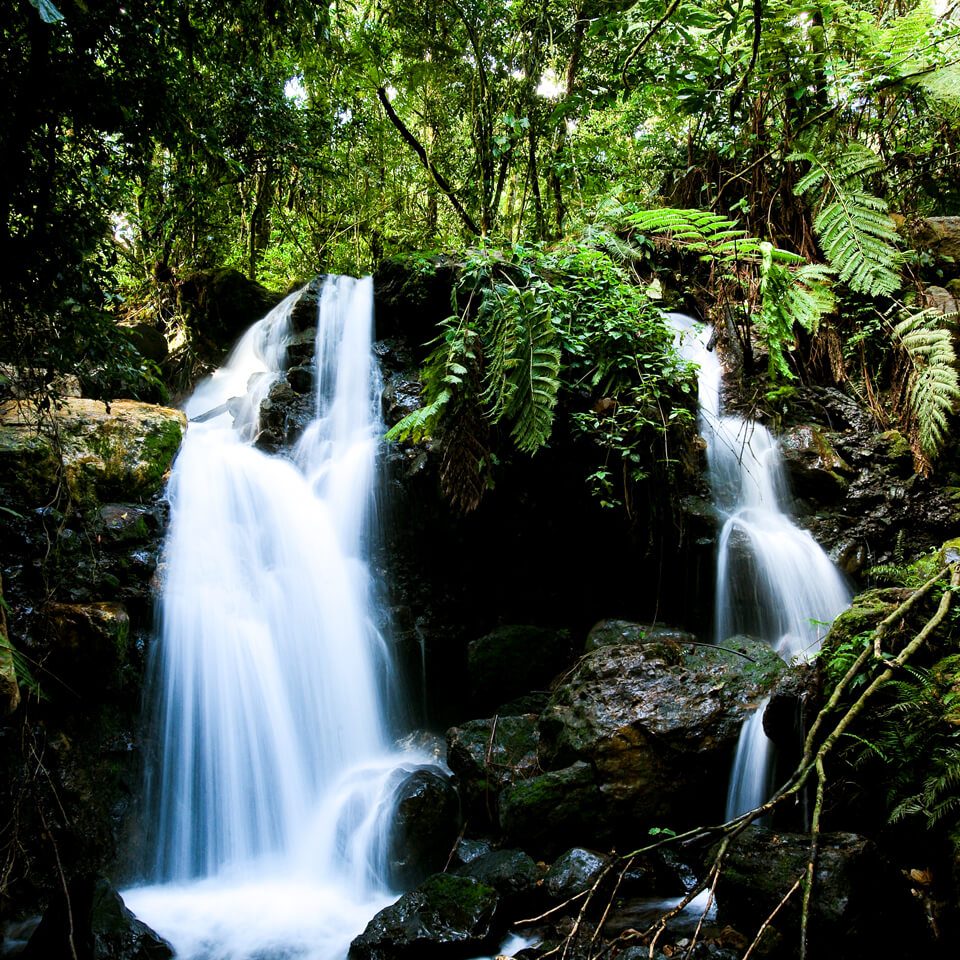 bwindi-uganda